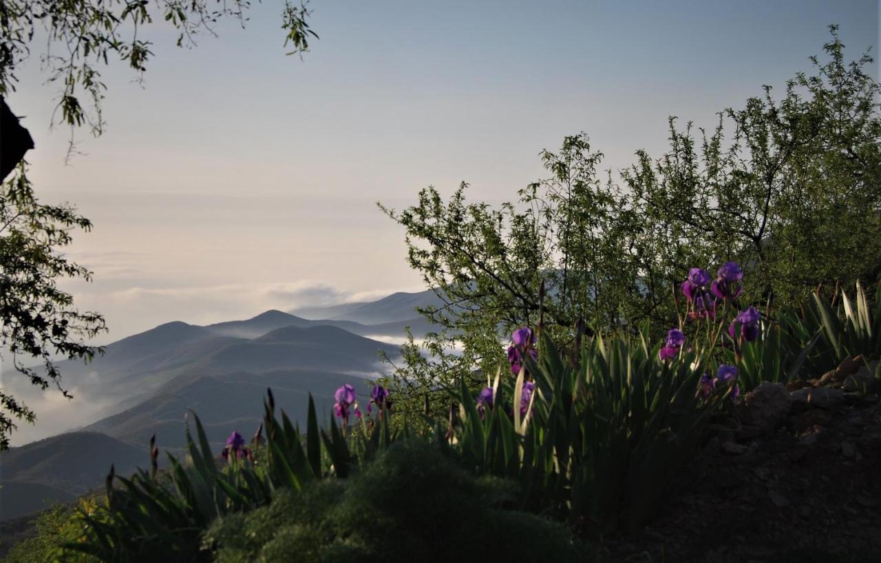 Cortijo Los Maximos Turon Esterno foto