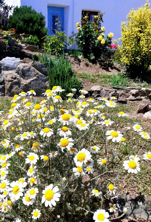 Cortijo Los Maximos Turon Esterno foto