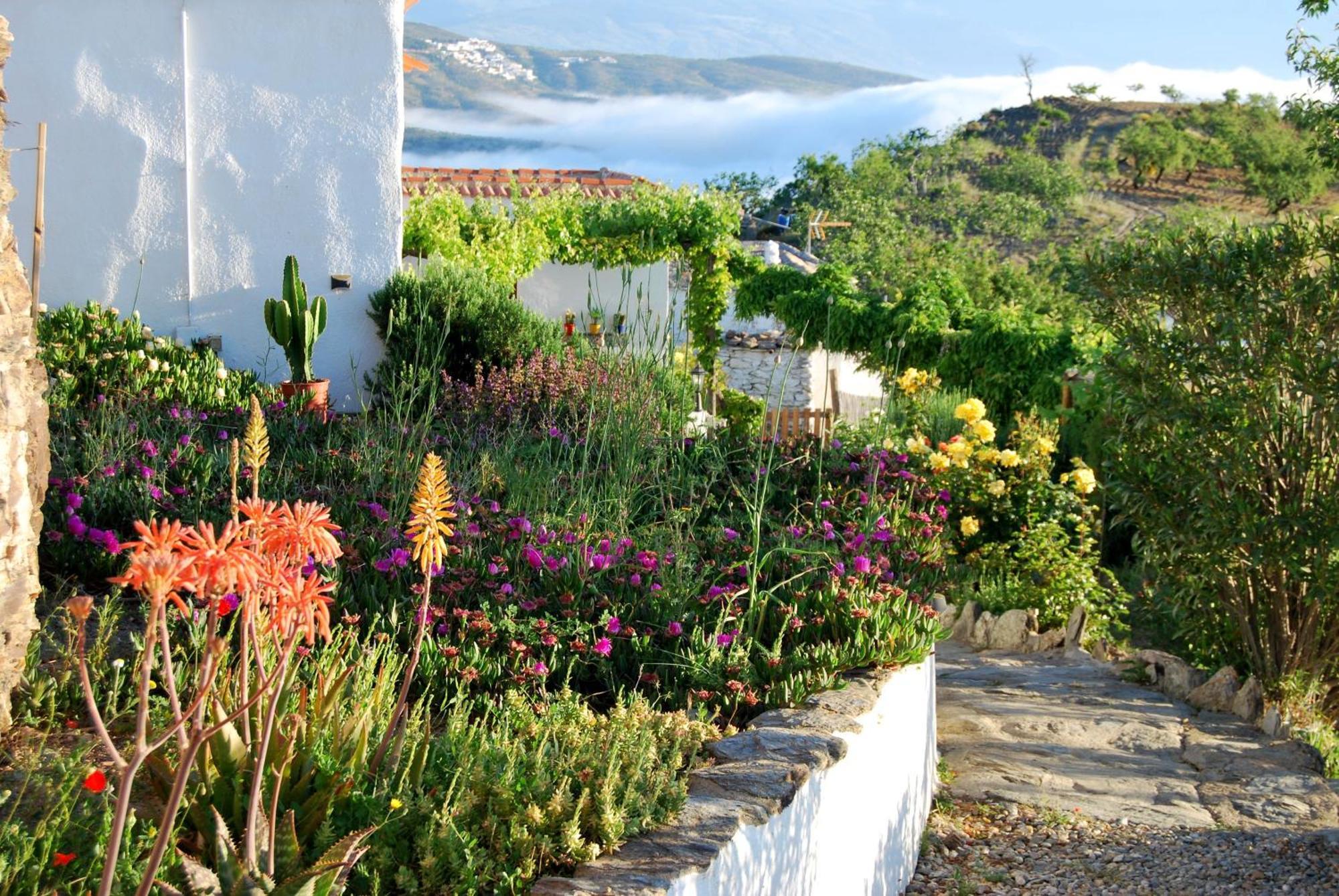 Cortijo Los Maximos Turon Esterno foto