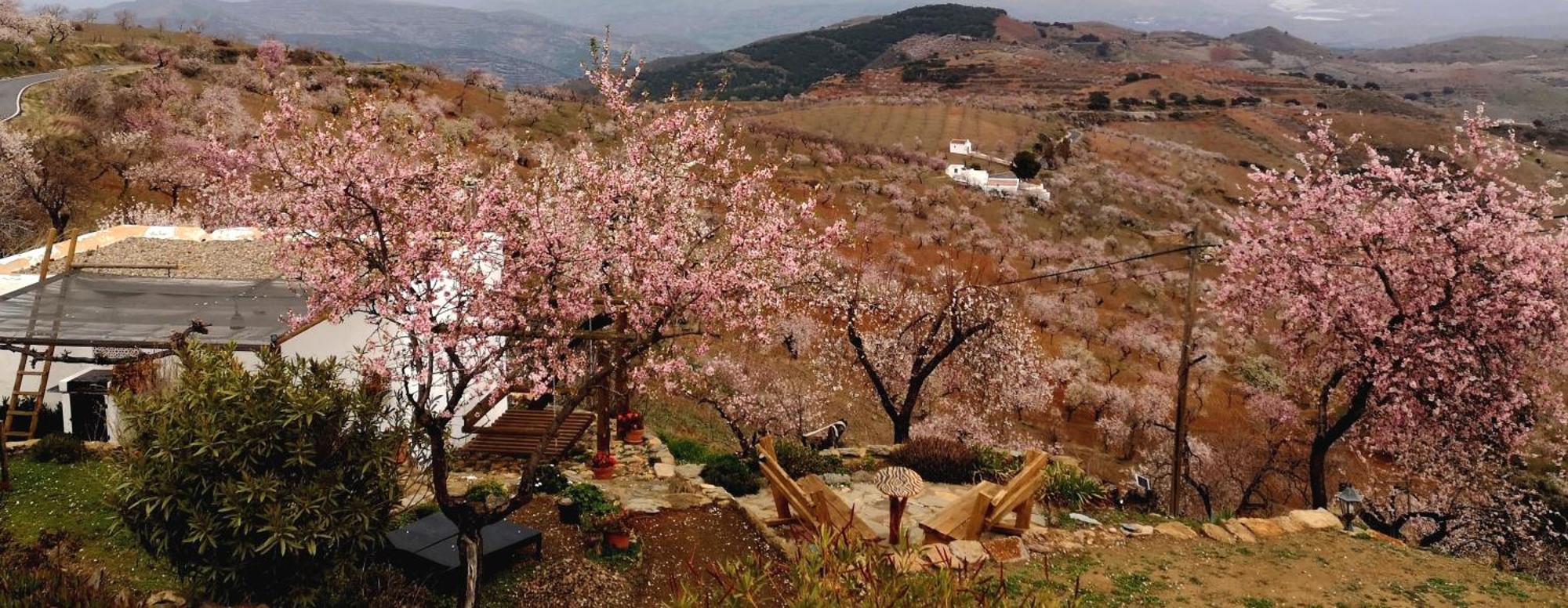 Cortijo Los Maximos Turon Esterno foto