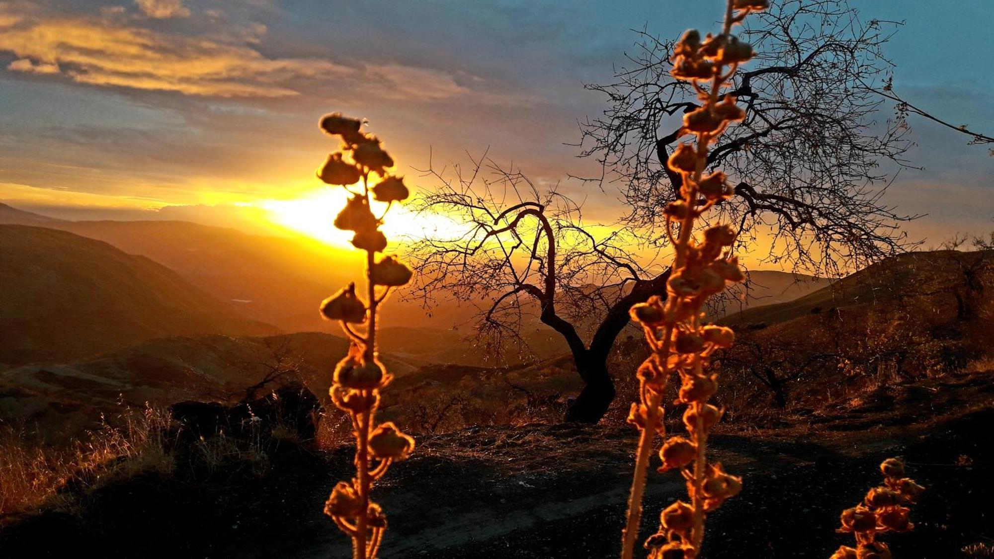 Cortijo Los Maximos Turon Esterno foto