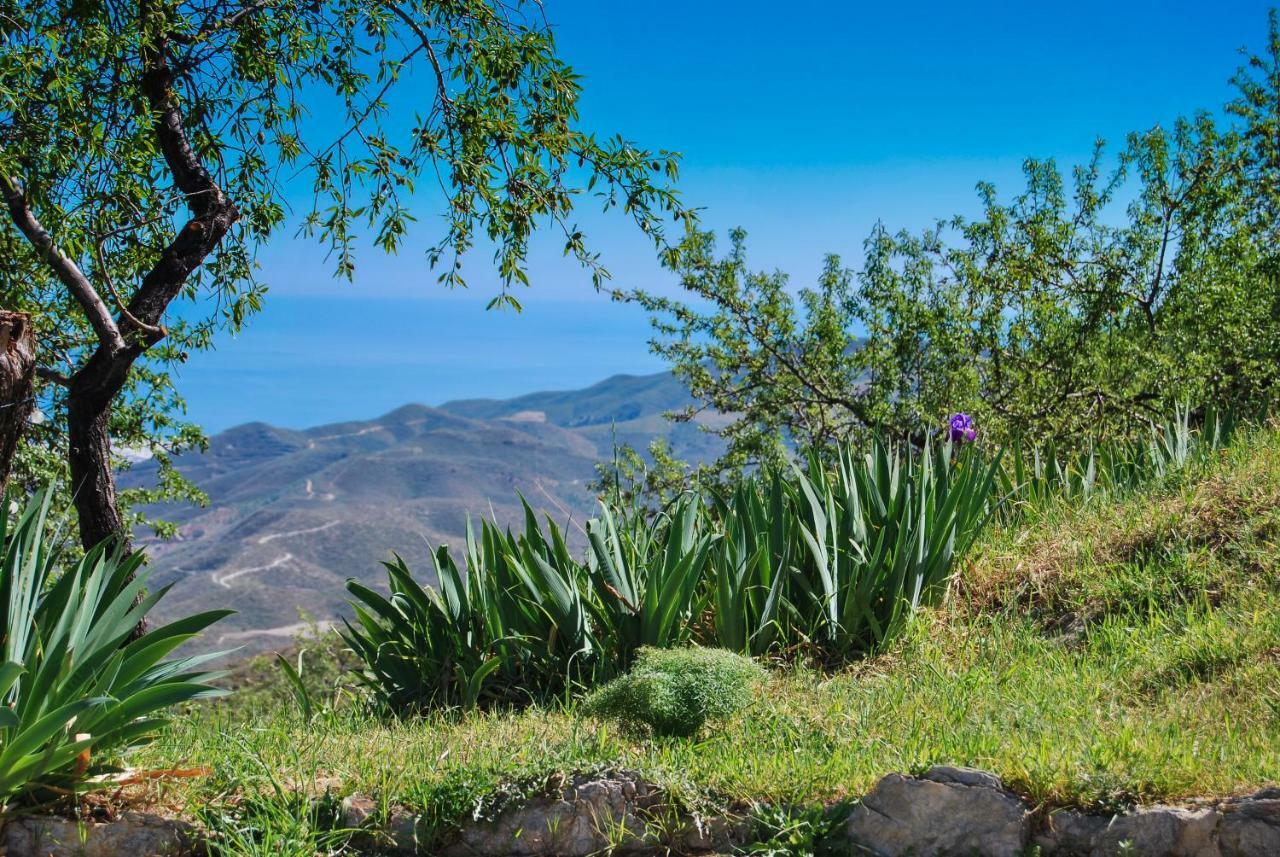 Cortijo Los Maximos Turon Esterno foto